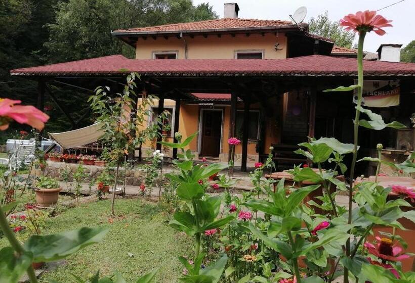 بنسيون къща цвети 1 трявна