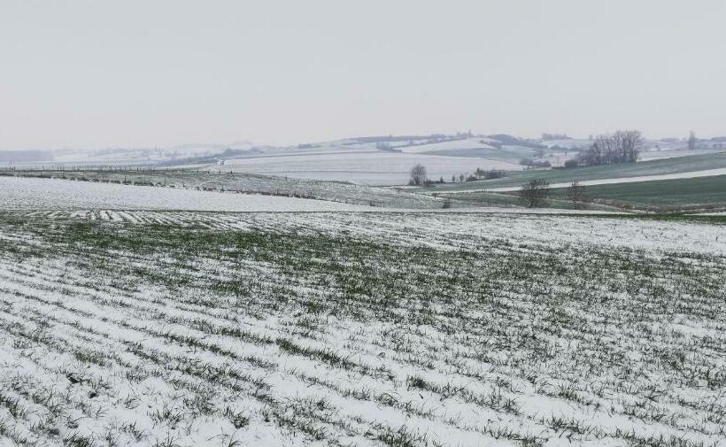 Пансион Guesthouse Kolibriehuys