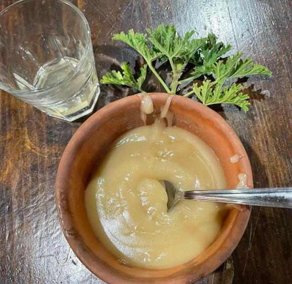 膳宿费 Hatzikyprianou Museum Studio