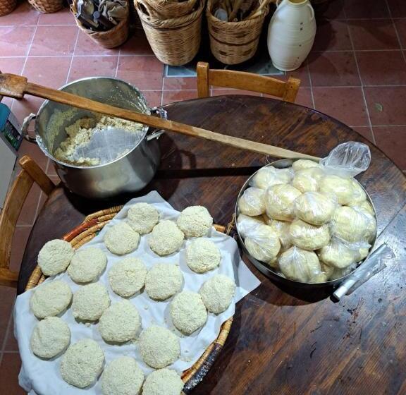 膳宿费 Hatzikyprianou Museum Studio