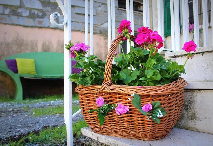 פנסיון La Mia Casa Di Campagna