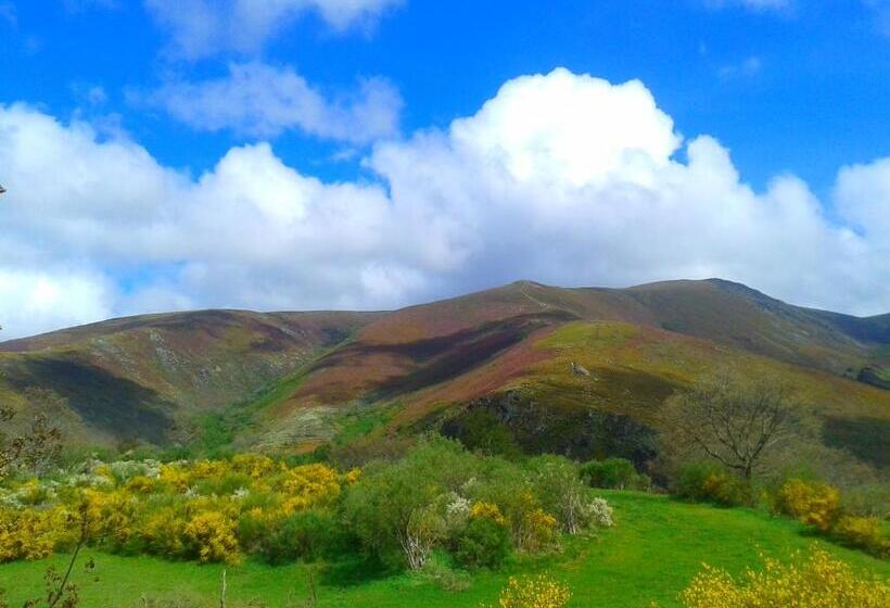 פנסיון Las Casitas De Requeixo