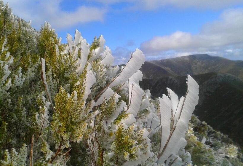 פנסיון Las Casitas De Requeixo