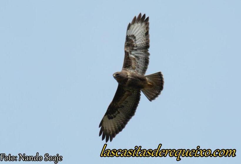 פנסיון Las Casitas De Requeixo