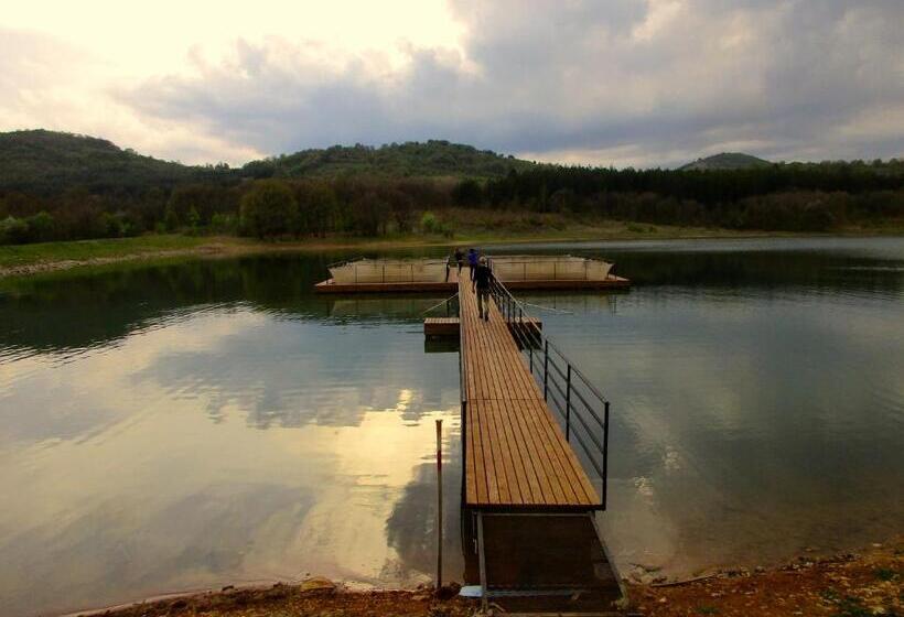 פנסיון Lavender Lodge