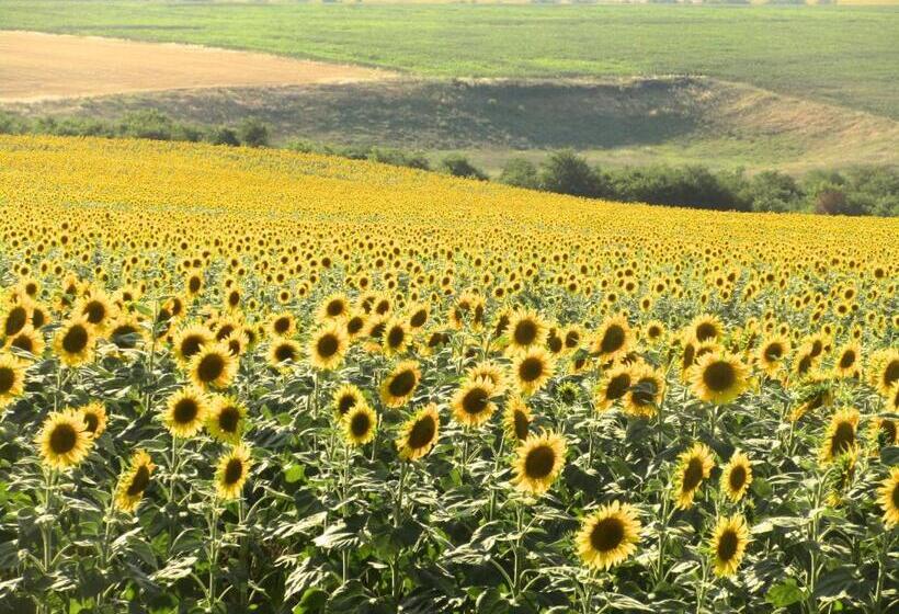 פנסיון Lavender Lodge