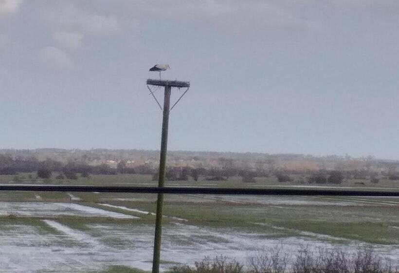 ペンション Le Relais De La Chaussee