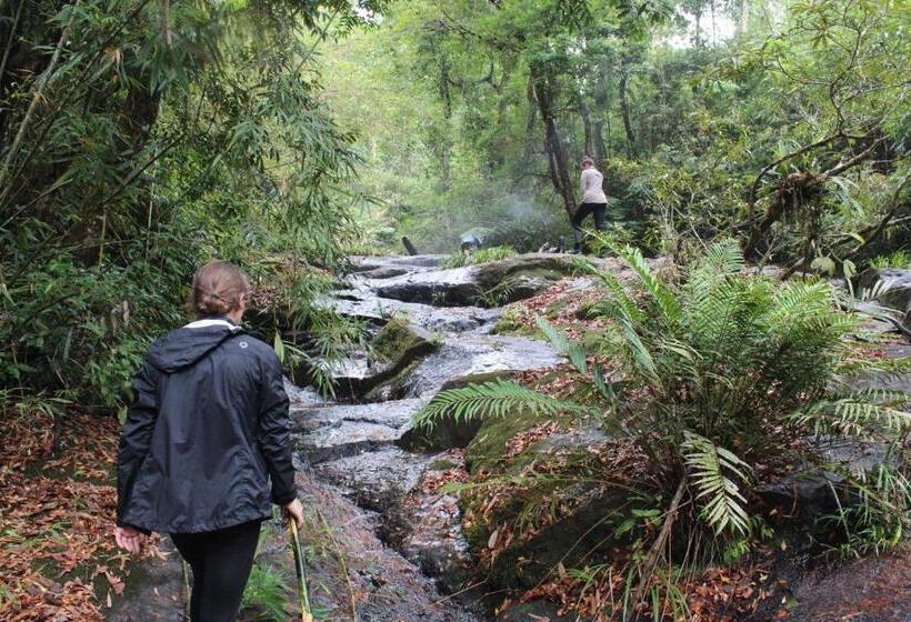 بنسيون Mind House Bungalow