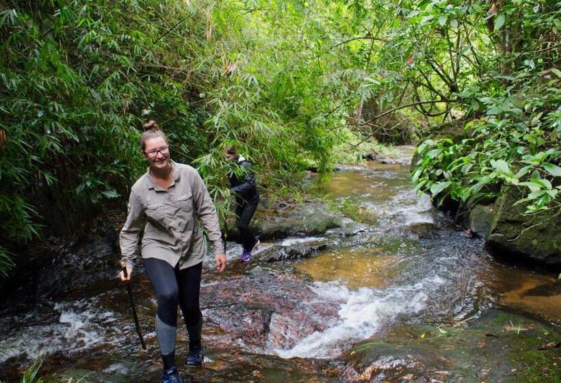بنسيون Mind House Bungalow