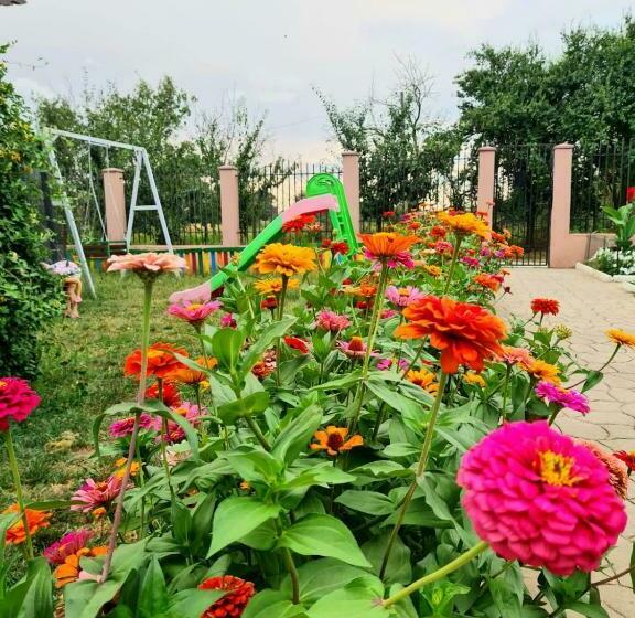 펜션 Nobless Villa