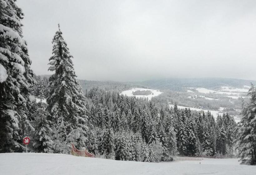 ペンション Penzión Gaboltov