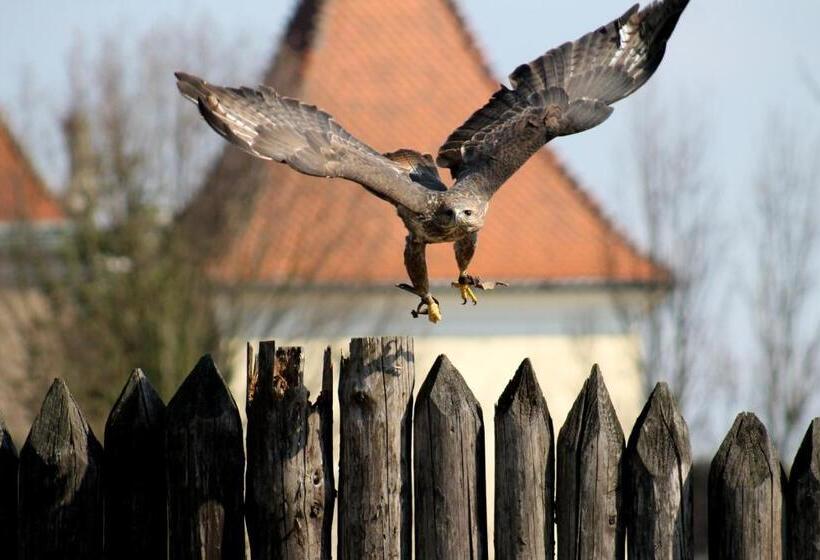 膳宿费 Penzión Melódia