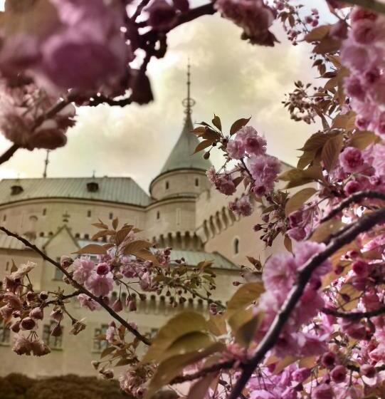 膳宿费 Penzión Melódia