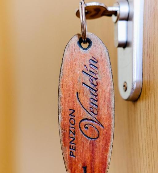 پانسیون Penzión Vendelín