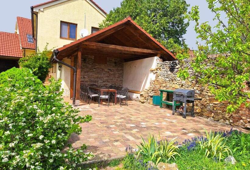 פנסיון Penzión Villa Agnes