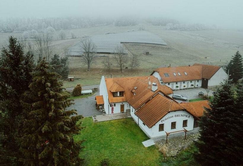 Пансион Penzion Brusinka