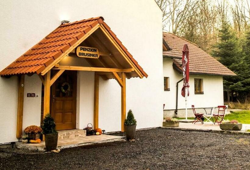 Пансион Penzion Brusinka