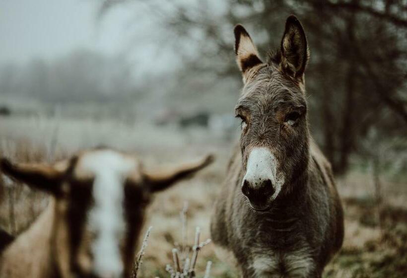 Пансион Penzion Brusinka