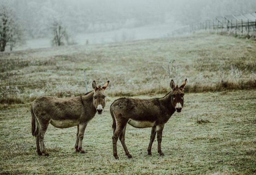 Пансион Penzion Brusinka
