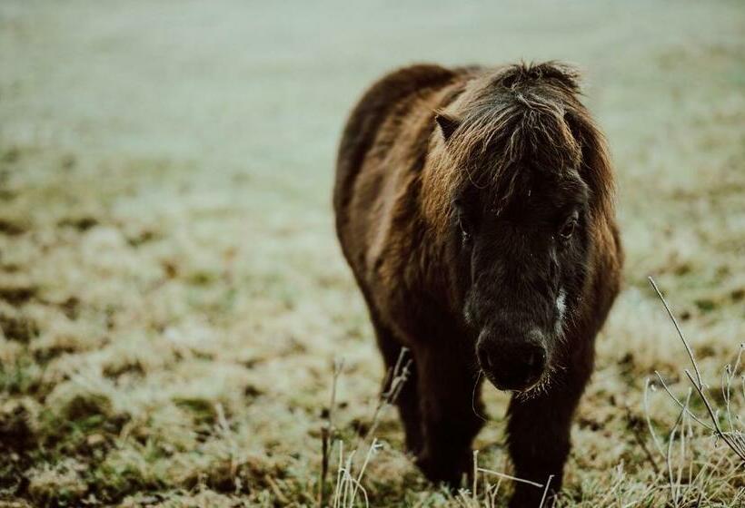 Пансион Penzion Brusinka