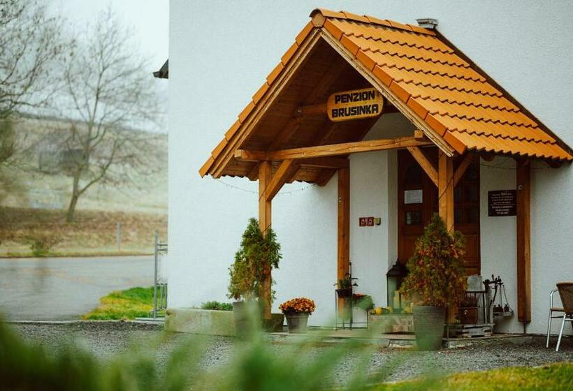 Пансион Penzion Brusinka