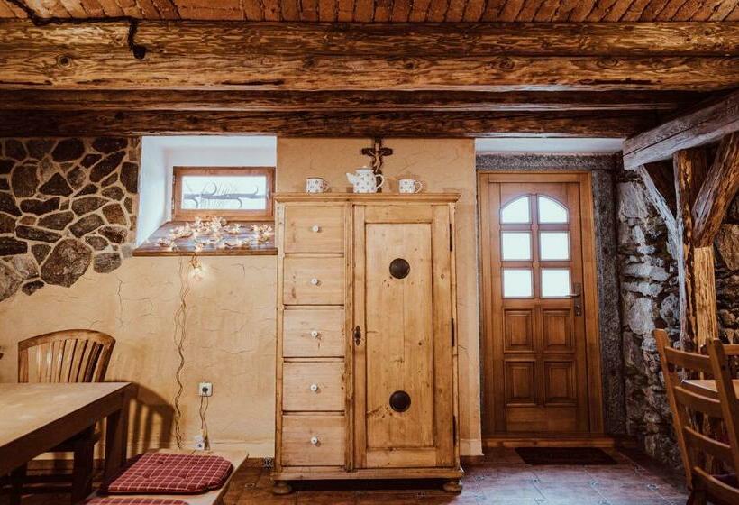 Пансион Penzion Brusinka