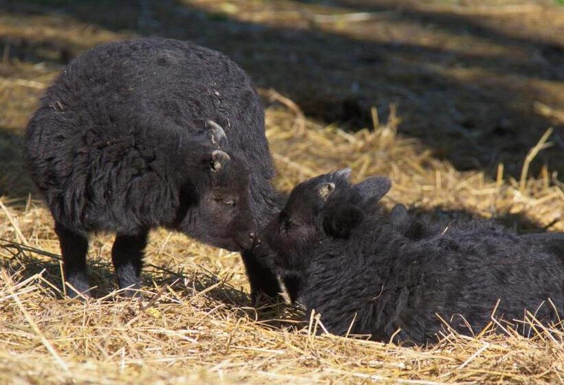 بنسيون Penzion Farma Dvorec