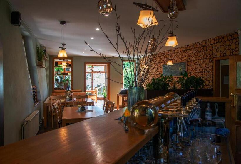 פנסיון Penzion Horal