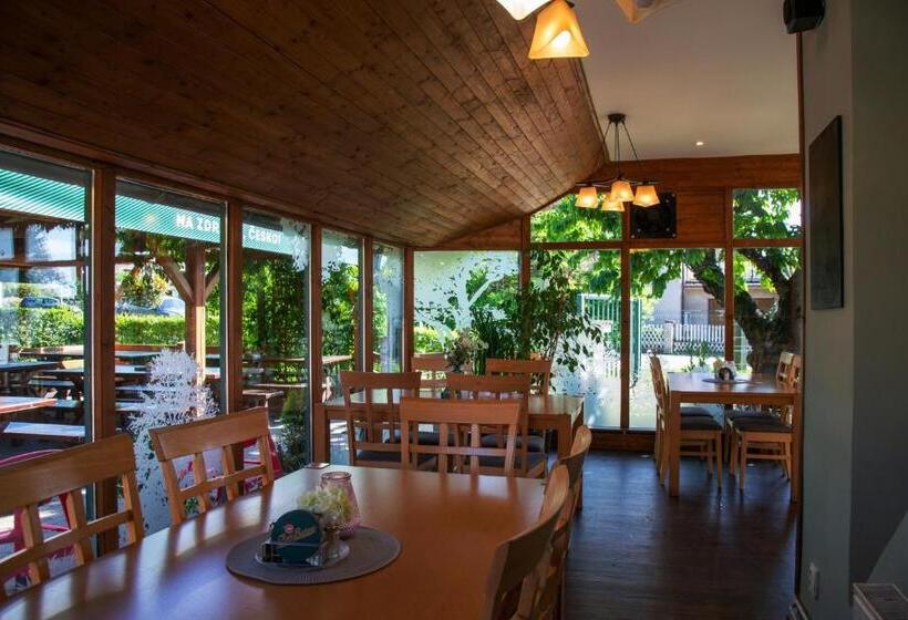 פנסיון Penzion Horal