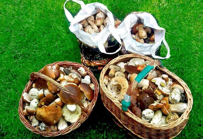 Пансион Penzion Muflon