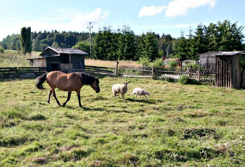 Пансион Penzion Muflon