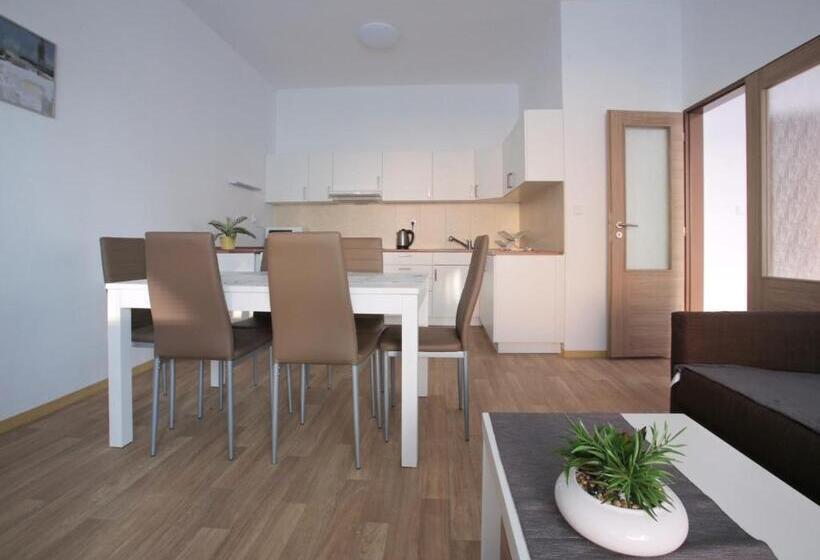 بنسيون Penzion   Apartments Pod Javořicí