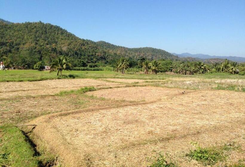 Panzió Pimpa House พิมพาเฮาส์