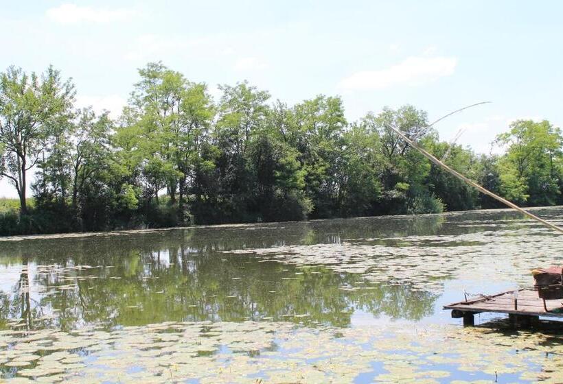 膳宿费 Ponty Poronty Vendégház