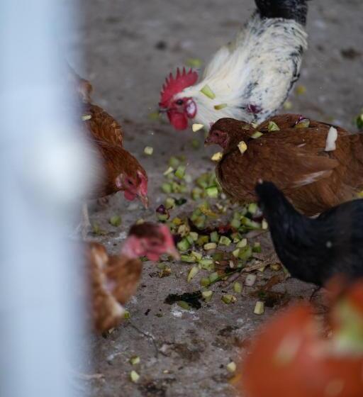 پانسیون Safa Boulaouane