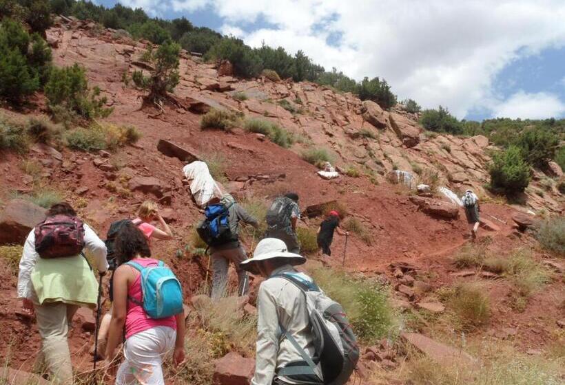 پانسیون Safranière Du M  Goun