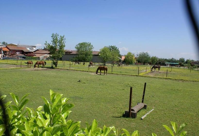 بنسيون Studio Sforzesco