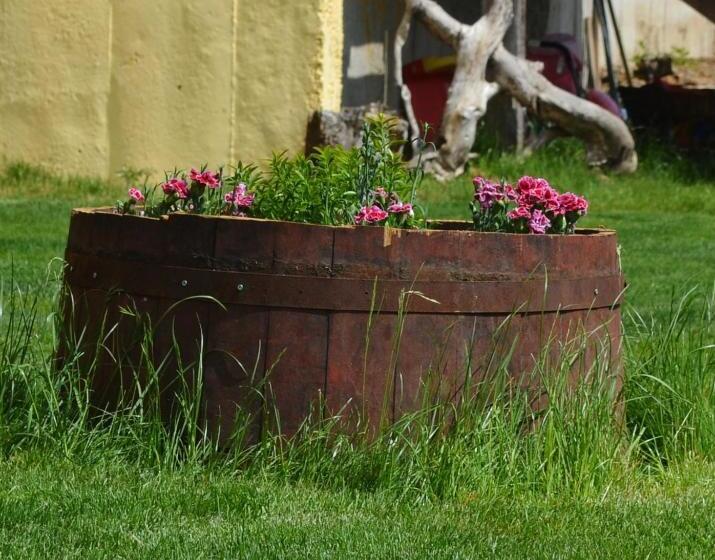 پانسیون Villa Aya