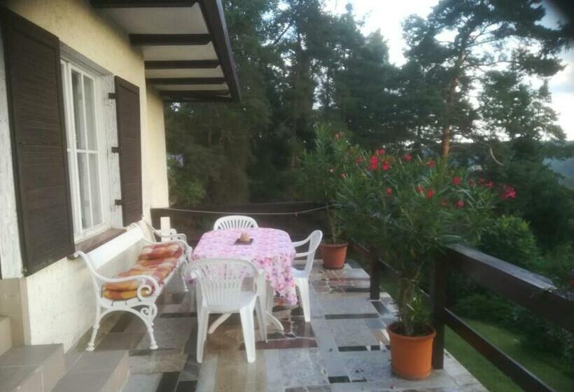 פנסיון Villa Blanka