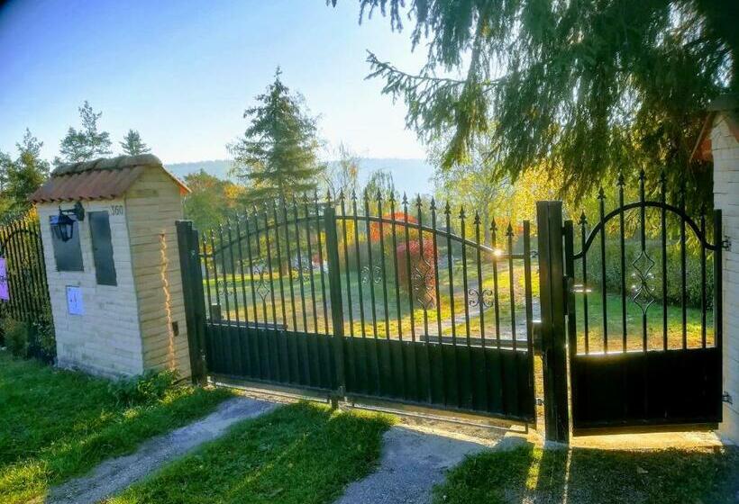 פנסיון Villa Blanka