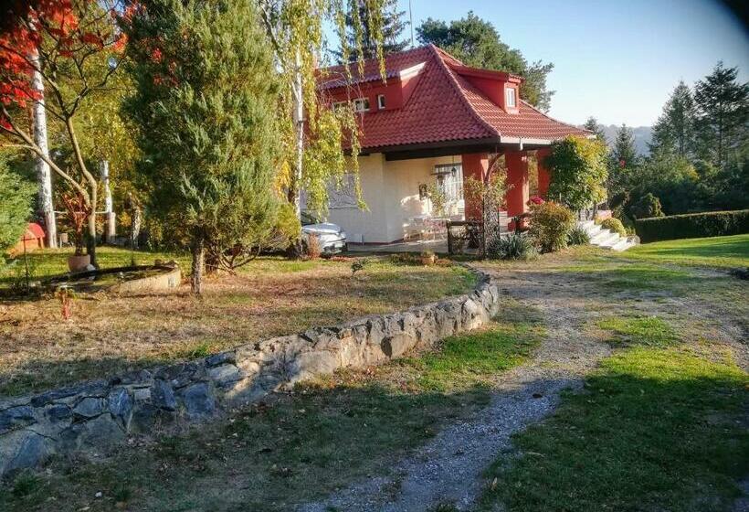 פנסיון Villa Blanka