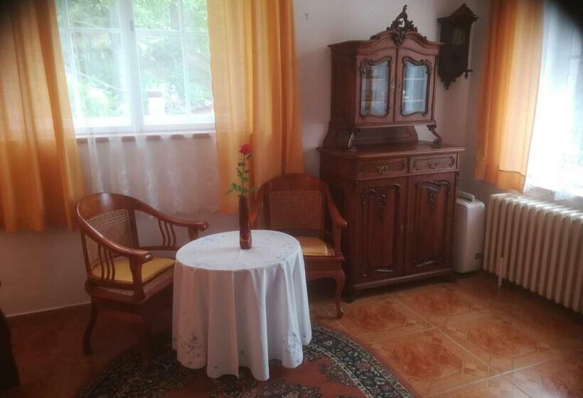 פנסיון Villa Blanka