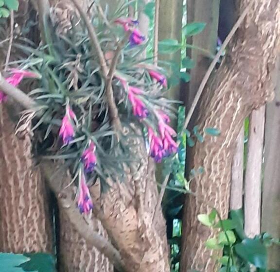 פנסיון Ville Agape