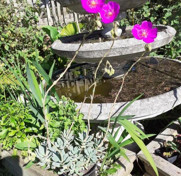 פנסיון Ville Agape