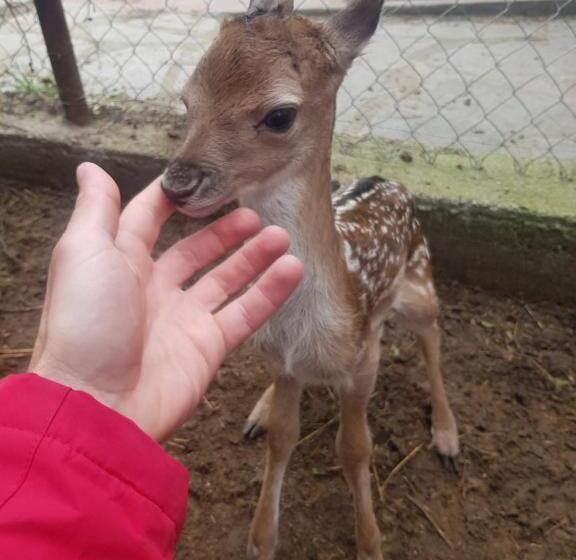 פנסיון Wine Boutique Complex ,,hrisimov