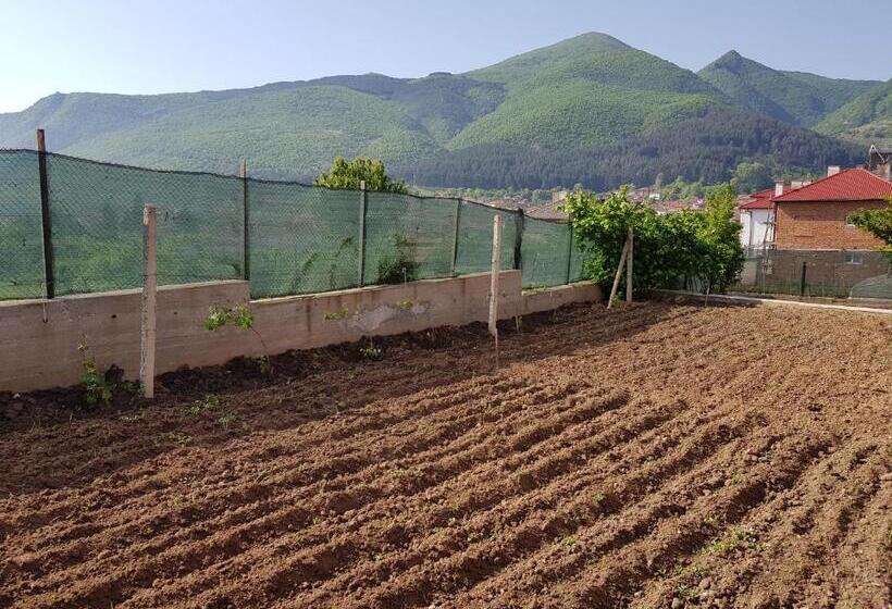 פנסיון Wine Boutique Complex ,,hrisimov