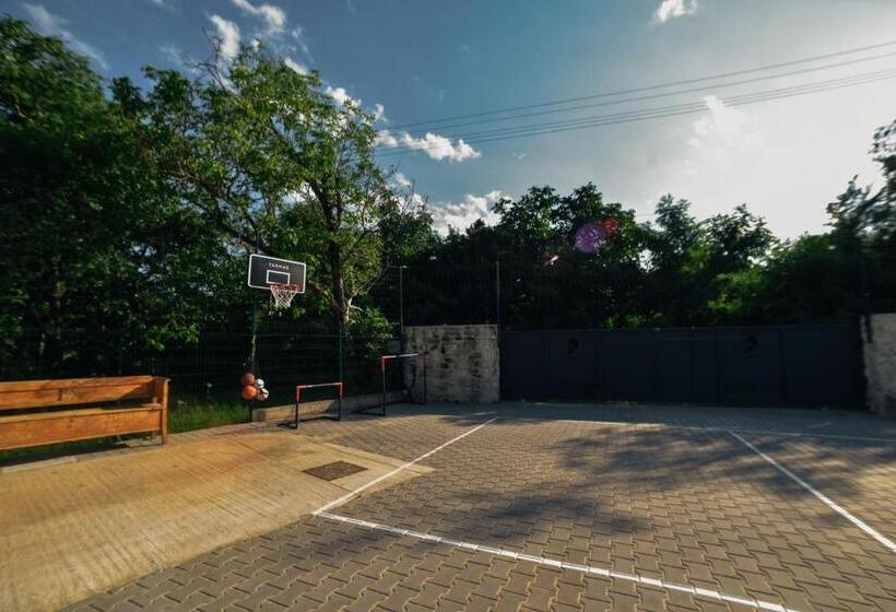 Pensiunea Casa Dacilor