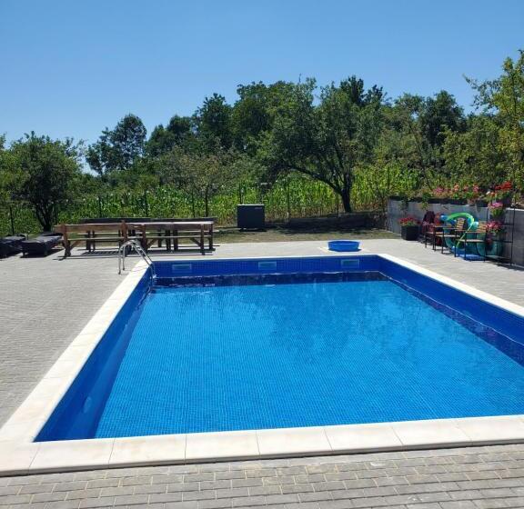 Pensiunea Casa Dacilor