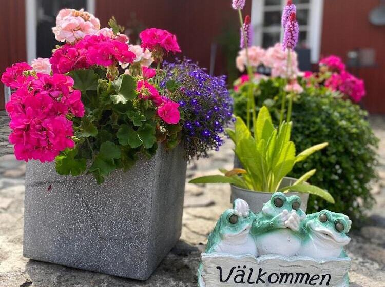 Sanddala Bed & Breakfast