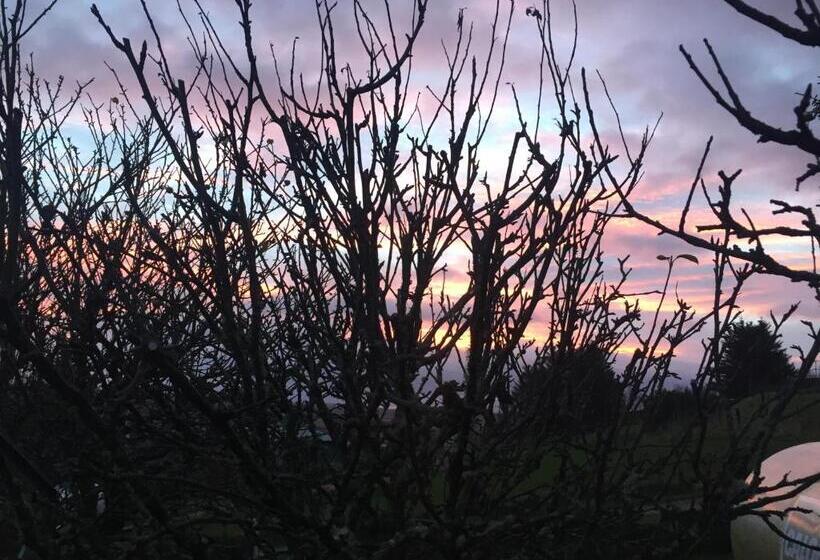 The Sheiling B&b   Nc 500